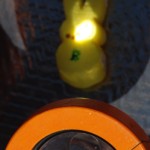 image: Peeps and magnifying lens